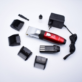 Rasierapparat GM-6001 Professional Hair Clipper